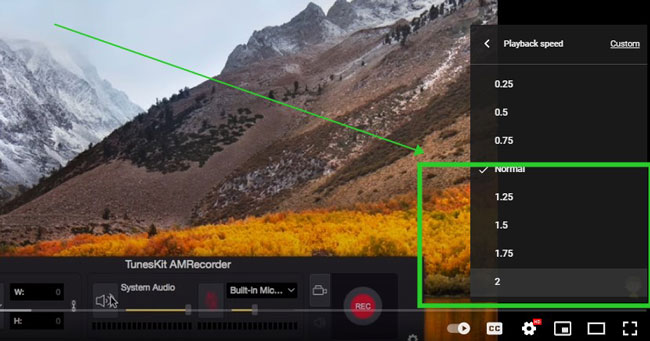 How to Speed Up YouTube Video Easily?